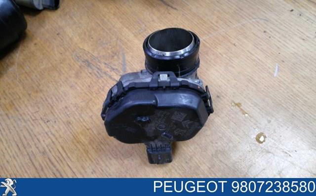 Cuerpo de mariposa completo PEUGEOT 9830301180