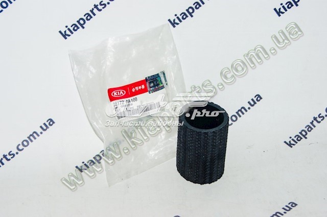 281724A100 Hyundai/Kia