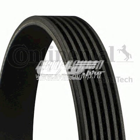 6PK2020 Continental/Siemens Correa poly v