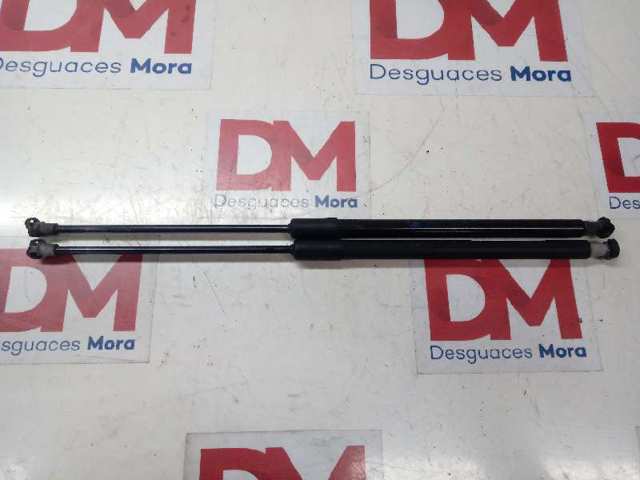 904506697R Renault (RVI) Amortiguador de porton