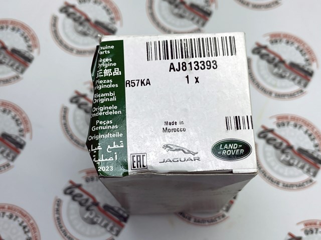 Válvula de inyector Jaguar AJ813393 precio, desde 269,11 EUR