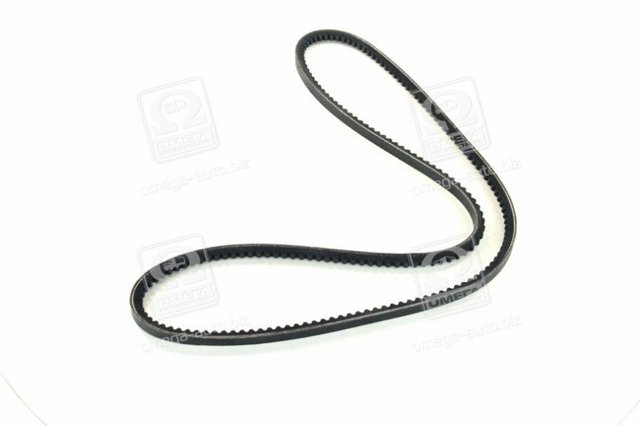 Correa de alternador 10A1275C Dayco