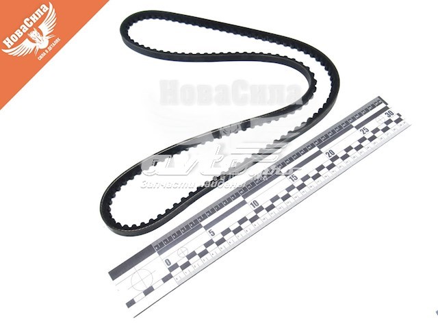 Comprar 10A1250C Dayco Correa trapezoidal