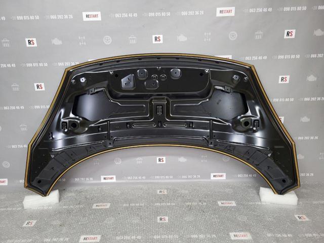 Capó del motor Renault (RVI) 651009758R precio, desde 422,53 EUR