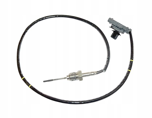 Sensor de temperatura de gases de escape del filtro de partículas Fiat/Alfa/Lancia 55283043 precio, desde 121,97 EUR