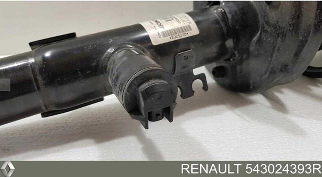 Amortiguador 543024393R Renault (RVI)