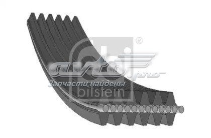 Correa de alternador 6DPK1840 Dayco