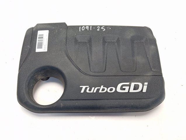 Tapa motor 2924204500 Hyundai/Kia