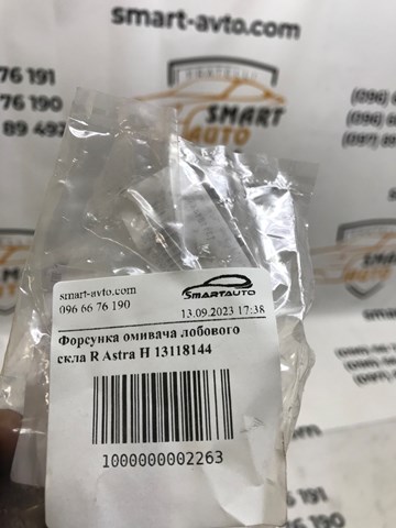 Boquilla del lavaparabrisas derecha General Motors 13118144 precio, desde 6,25 EUR