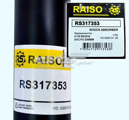 RS317353 Raiso amortiguador trasero