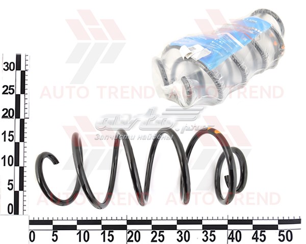 Muelle delantero Lada 11190290271200 precio, desde 37,77 EUR