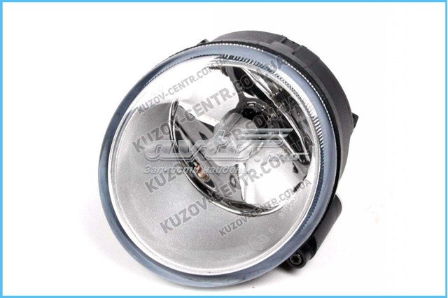 Luz antiniebla izquierdo FP5610H1P FPS