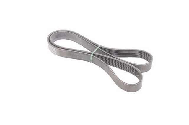 8PK1365 Continental/Siemens Correa poly v