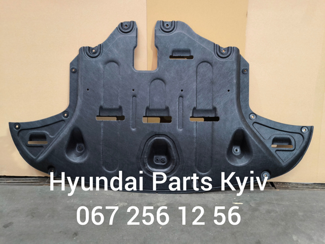 Protección delantera del motor Hyundai/Kia 29110D7100 precio, desde 302,71 EUR