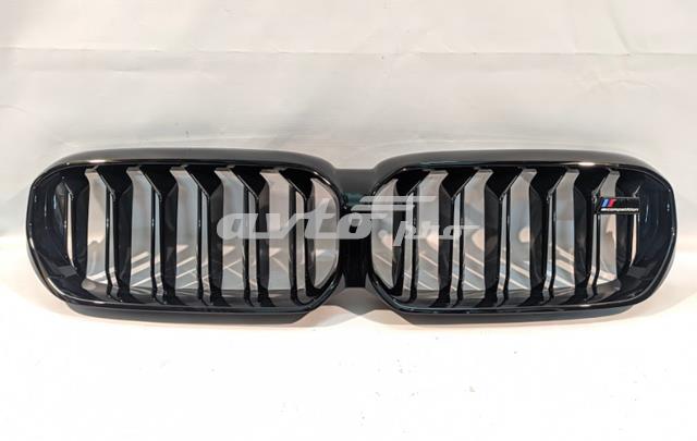 51138082108 BMW Calandra