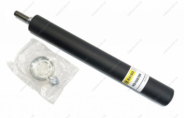 RS100786 Raiso Amortiguador frontal