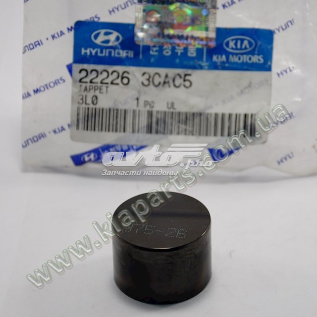 222263CAC5 Hyundai/Kia