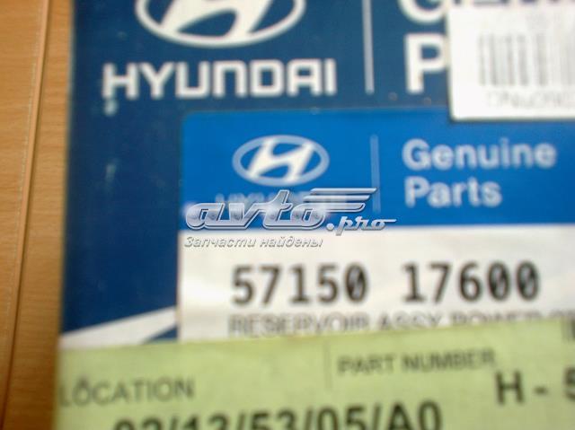 5715017600 Hyundai/Kia