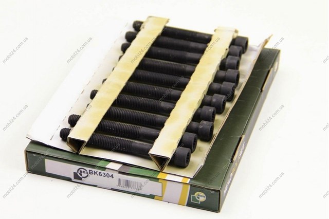 Tornillo de culata BGA BK6304