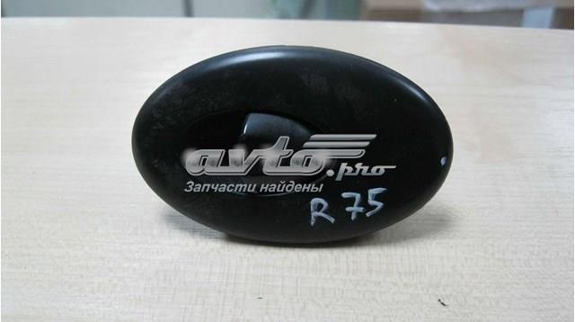  YUD100741PUY Rover