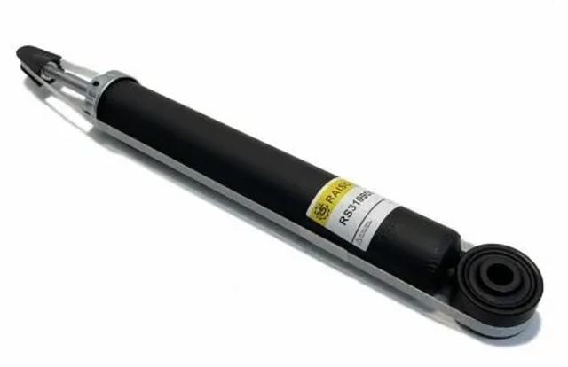 Amortiguadores traseros Raiso RS310950