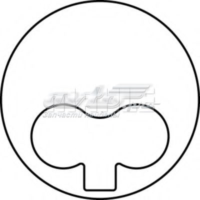 013PI00101000 Mahle Original