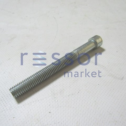 M12X110 Market (OEM)