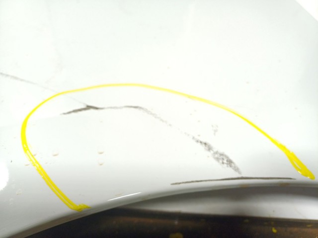 631014221R Renault (RVI) Aleta delantera izquierda