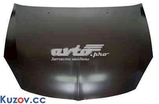 Capot FPS FP4805280