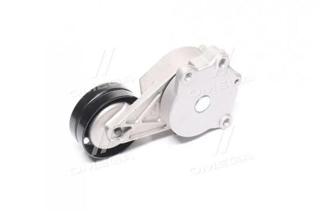 Tensor de correa poli V RDA118111200AB Rider