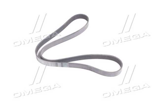 Correa de alternador 8PK1509 Continental/Siemens