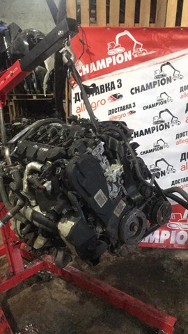 D4204T Peugeot/Citroen Motor completo