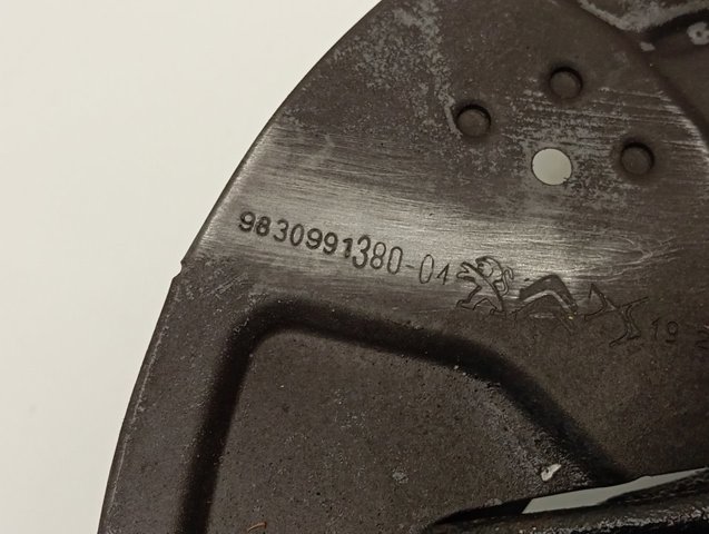 9830991380 Peugeot/Citroen Protector del disco de freno delantero izquierdo