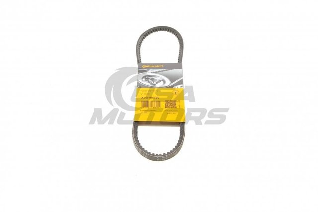 AVX10X730 Continental/Siemens Correa poly v