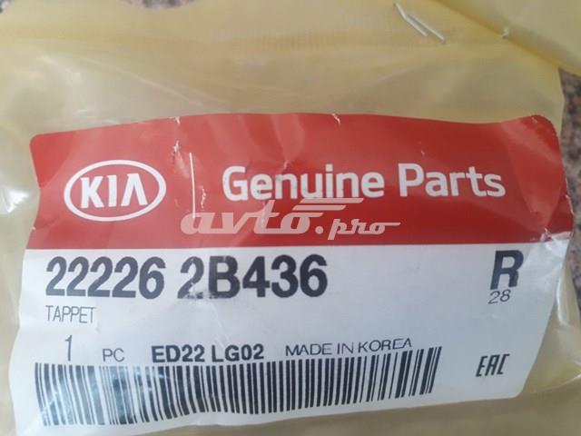 222262B436 Hyundai/Kia