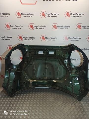 Comprar 41008499869 BMW Capó
