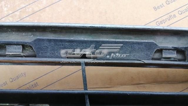 A2038800223 Mercedes Calandra