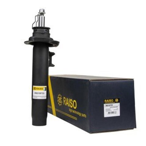 Amortiguadores Raiso RS319733 precio, desde 59,24 EUR
