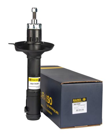 Amortiguadores Raiso RS170381 precio, desde 56,40 EUR