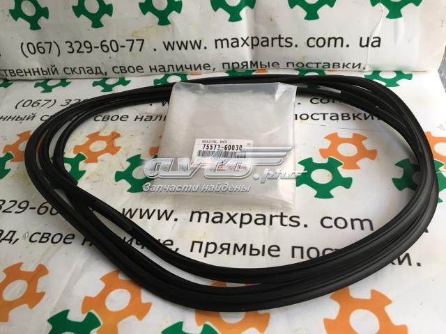 Moldura de luneta trasera TOYOTA 7557360030