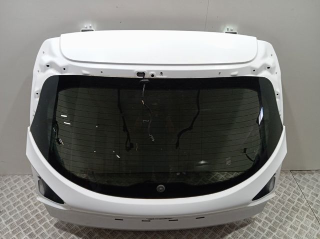 2732183 Ford Porton trasero