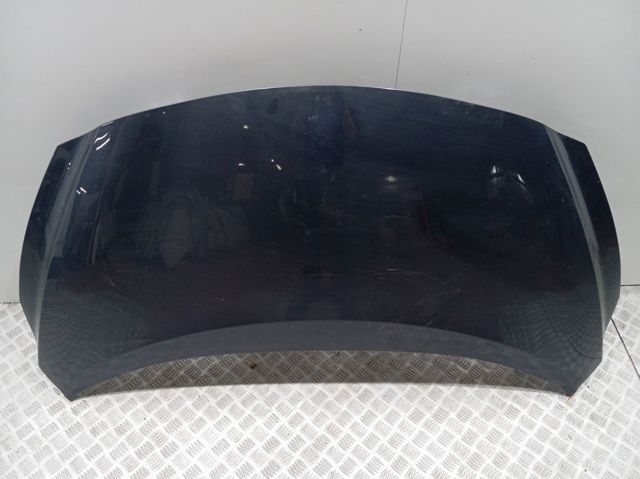 651005FA0J Nissan/Infiniti Capó delantero