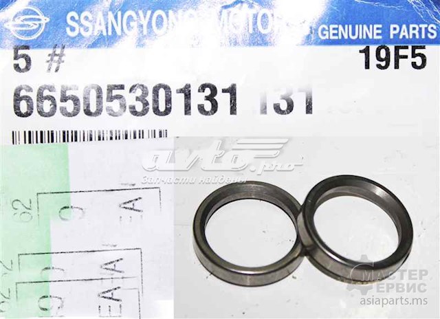 Placa de soporte, empujador de válvulas de admisión Ssang Yong 6650530131