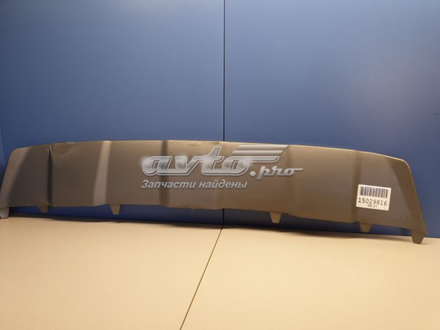 Protector, parachoques delantero para Hyundai Santa Fe (TM, TMA)