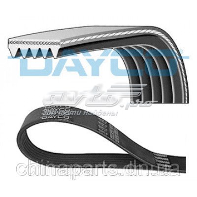 Correa de alternador E030000401 Dayco