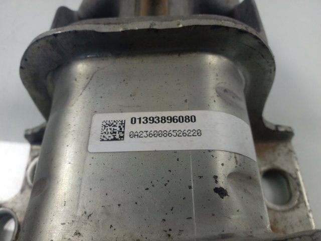 1637130880 Peugeot/Citroen Soporte de motor derecho