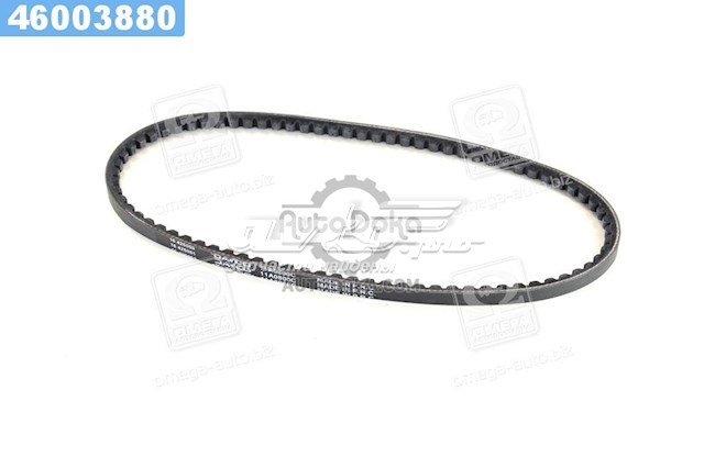 11A0800C Dayco Correa poly v