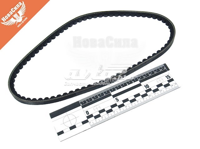 Correa accesorios Dayco 10A0725C