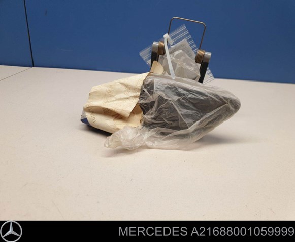 A21688001059999 Mercedes tapa de boquilla lavafaros