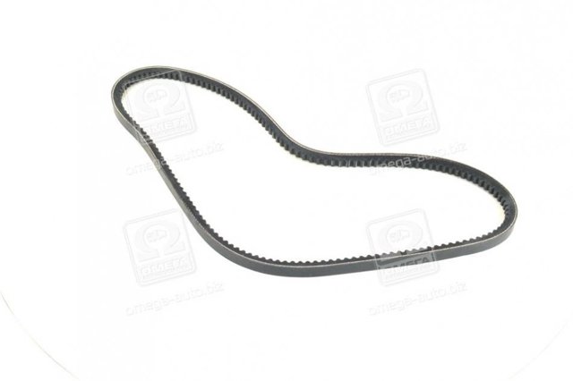13A1050C Dayco Correa poly v